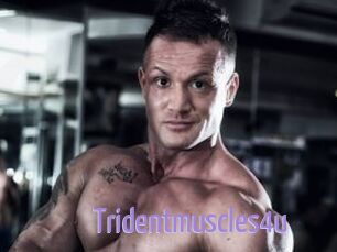 Tridentmuscles4u