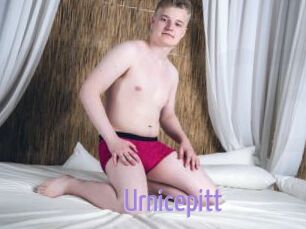 Urnicepitt