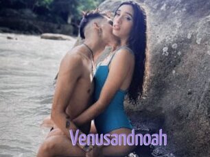 Venusandnoah