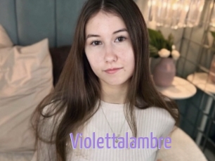 Violettalambre