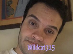 Wildcat315